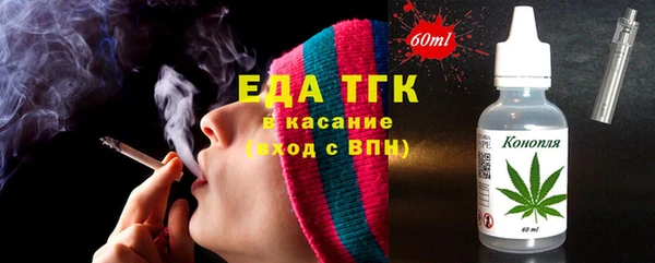 стаф Инта