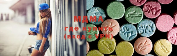 стаф Инта