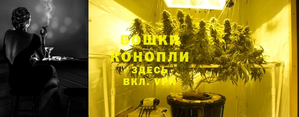 стаф Инта