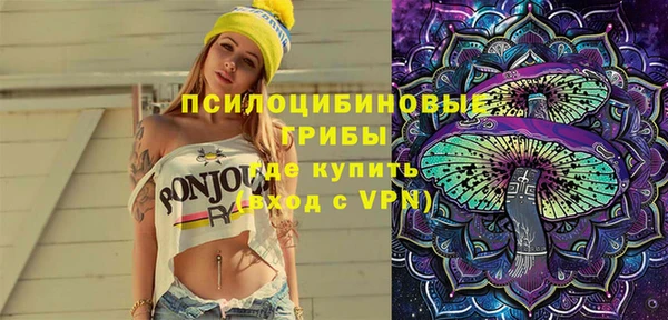 индика Иннополис