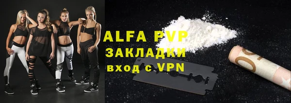 индика Иннополис