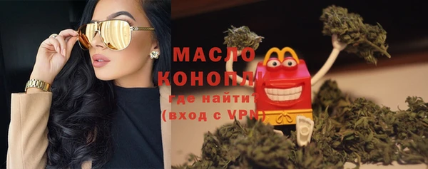 стаф Инта