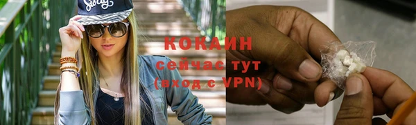 стаф Инта