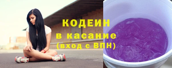 индика Иннополис