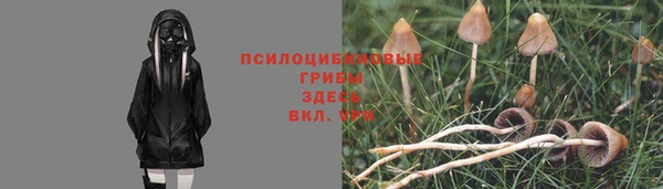 индика Иннополис