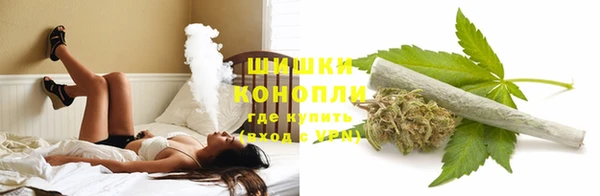 индика Иннополис