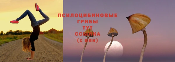 прущие крисы Покровск