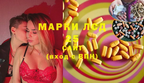 индика Иннополис