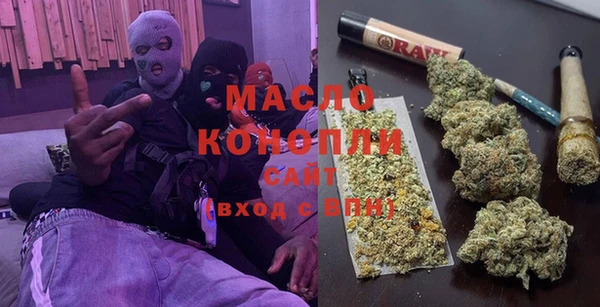 стаф Инта