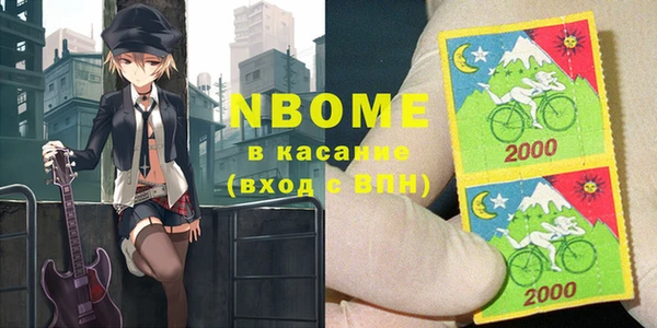 индика Иннополис