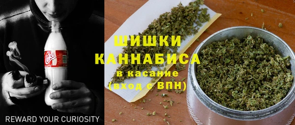 индика Иннополис