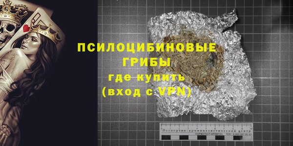стаф Инта