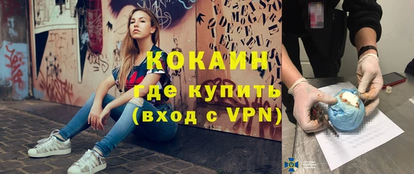 индика Иннополис