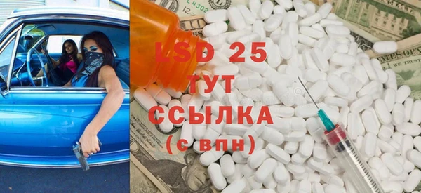 стаф Инта