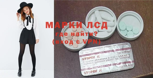 стаф Инта