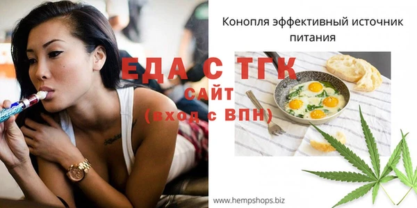 стаф Инта