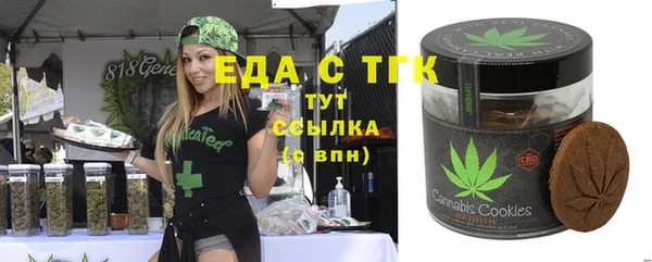 стаф Инта