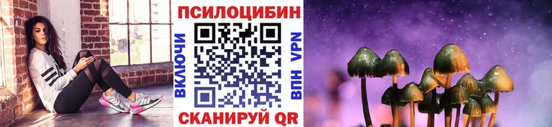 Купить  Вятские Поляны  Псилоцибиновые грибы MAGIC MUSHROOMS 